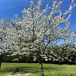 Chambres D Hote Chez Catherve Bed & Breakfast Saint-Medard-de-Guizieres
