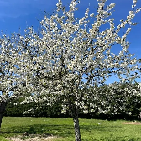 32 Parc Des Sports Chez Catherve Bed & Breakfast Saint-Medard-de-Guizieres